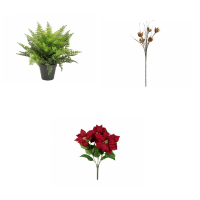 Small &amp; flowering plants