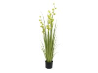 EUROPALMS Allium Grass, artificial, 122cm