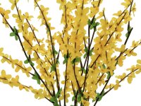 EUROPALMS Forsythia bush, artificial, 60cm