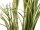 EUROPALMS Dracena bush, artificial, 215cm