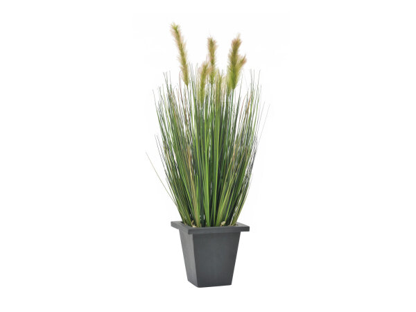 EUROPALMS Moor-grass in pot, artificial, 60cm