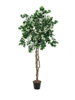 EUROPALMS Bougainvillea, artificial plant, white, 180cm