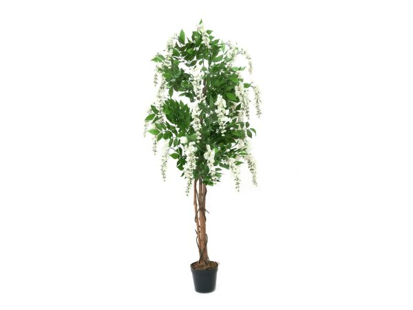 EUROPALMS Wisteria, artificial plant, white, 150cm