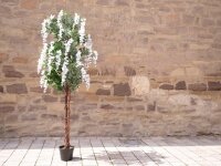 EUROPALMS Wisteria, artificial plant, white, 180cm