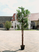 EUROPALMS Wisteria, artificial plant, white, 180cm