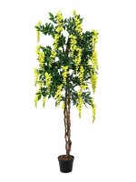 EUROPALMS Wisteria, artificial plant, yellow, 180cm