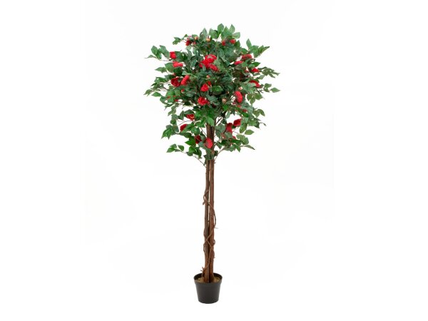 EUROPALMS Camelia red cemented, artificial plant, 180cm