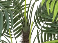 EUROPALMS Areca palm, artificial plant, 110cm