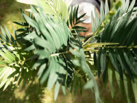 EUROPALMS Areca Palme, Kunstpflanze, 110cm