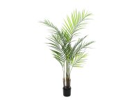 EUROPALMS Areca palm with big leaves, artificial plant,...