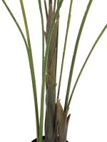 EUROPALMS Areca palm with big leaves, artificial plant, 185cm