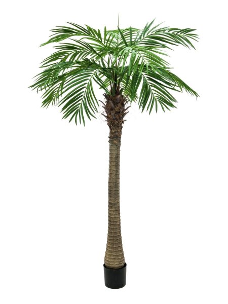 EUROPALMS Phoenix Palm Tree Luxor, artificial plant, 300cm