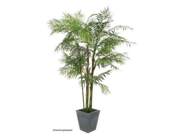 EUROPALMS Cycas Palm, artificial plant, 280cm