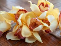 EUROPALMS Cymbidium branch, artificial, yellow, 90cm