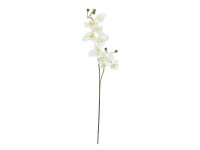 EUROPALMS Orchid branch, artificial, cream-white, 100cm