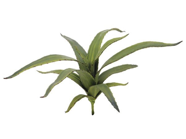 EUROPALMS Aloe (EVA), künstlich, grün, 66cm