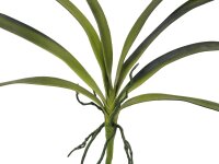 EUROPALMS Orchid leaf (EVA), arificial, green, 45cm