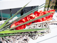 EUROPALMS Orchid leaf (EVA), arificial, green, 45cm