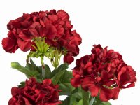 EUROPALMS Geranium, artificial, red, 42cm