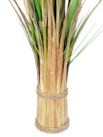 EUROPALMS Fox grass, artificial, 150cm