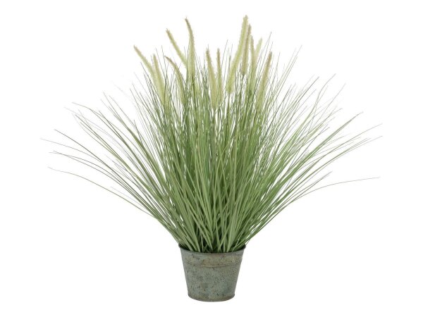 EUROPALMS Ornamental blooming grass, artificial, 70cm