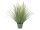 EUROPALMS Ornamental blooming grass, artificial, 70cm