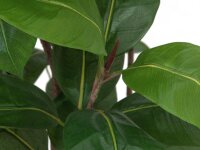 EUROPALMS Rubber tree, artificial plant, 150cm