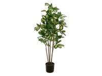 EUROPALMS Schefflera, artificial, 90cm