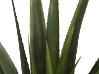 EUROPALMS Aloe vera plant, artificial plant, 60cm