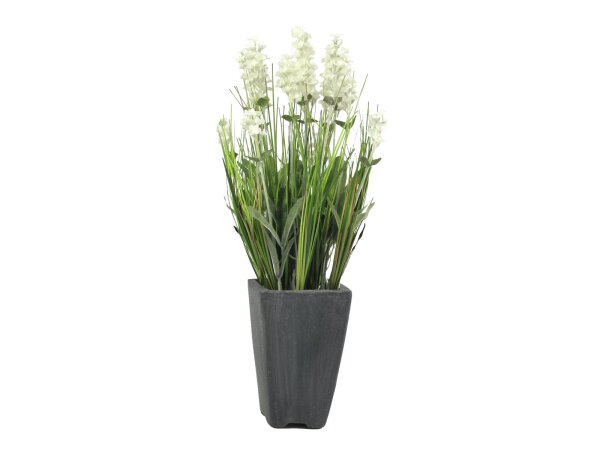 EUROPALMS Lavender, artificial plant, cream, in pot, 45cm