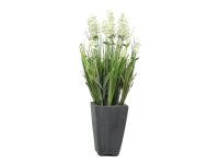 EUROPALMS Lavender, artificial plant, cream, in pot, 45cm