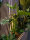 EUROPALMS Splitphilodendron, Kunstpflanze, 120cm
