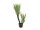 EUROPALMS Orchid-Cactus, artificial plant, 160cm