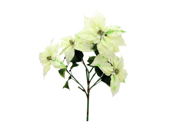 EUROPALMS Poinsettia bush, cream, 60cm