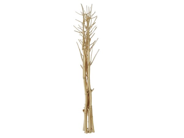 EUROPALMS Fenchelbund, getrocknet, gold, 160cm