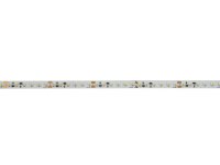 EUROLITE LED Strip 2400 20m 3528 3000K 24V Constant Current