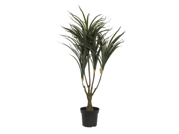 EUROPALMS Dracena, green-red, artificial,  90cm