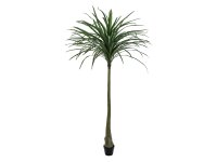 EUROPALMS Dracena, green, artificial,  220cm