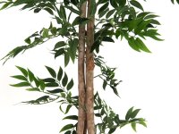 EUROPALMS Ficus longifolia, artificial plant, 165cm