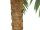 EUROPALMS Phoenix palm deluxe, artificial plant, 300cm