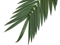 EUROPALMS Coconut King Palm Branch, artificial, 210cm