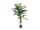 EUROPALMS Kentia palm tree, artificial plant, 120cm