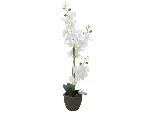 EUROPALMS Orchidee, Kunstpflanze, weiß, 80cm