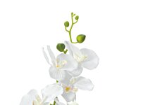 EUROPALMS Orchid, artificial plant, white, 80cm