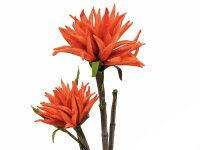 EUROPALMS Dahlia (EVA), artificial plant, orange, 100cm