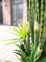 EUROPALMS Sukkulenten-Mix, Kunstpflanze, 190cm