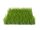 EUROPALMS Artificial grass tile, sun, 25x25cm