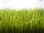 EUROPALMS Artificial grass tile, sun, 25x25cm