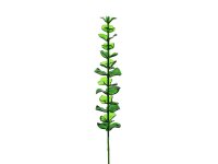 EUROPALMS Crystal eucalyptus, artificial plant, green 81cm 12x