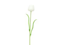 EUROPALMS Crystal tulip, artificial flower, white 61cm 12x